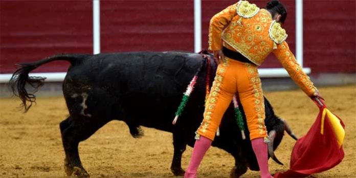 Morante, en un muletazo hoy en Brihuega. (FOTO: Julián López/mundotoro.com)