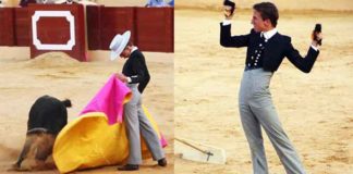 El sevillano Calerito manejando el capote esta tarde en Osuna y con las dos orejas de su astado. (FOTOS: Sevilla Taurina)