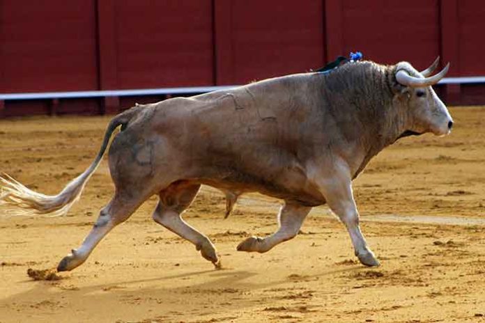 Toro de Cayetano Muñoz lidiado en la pasada Feria de Abril. (FOTO: Javier Martínez)