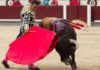 El Cid, con su primer toro hoy en Madrid. (FOTO: las-ventas.com)