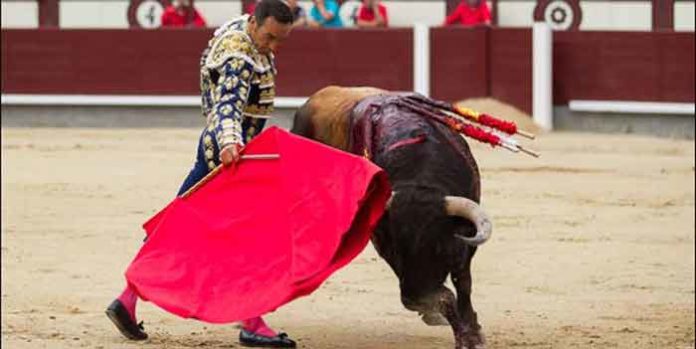 El Cid, con su primer toro hoy en Madrid. (FOTO: las-ventas.com)