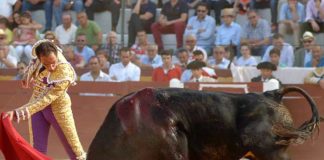 Salvador Cortés, a hombros en Laujar de Andarax Salvador Cortés.