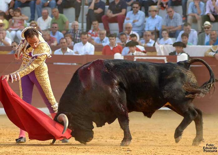 Salvador Cortés. Salvador Cortés.