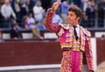 Manuel Escibano, saludando la ovación hoy en Madrid. (FOTO: las-ventas.com)