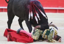 Escribano sufrió una peligrosa voltereta hoy en Nimes con los toros de Victorino Martín. (FOTO: Emilio Méndez)