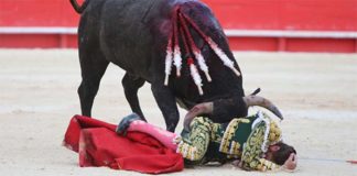 Escribano sufrió una peligrosa voltereta hoy en Nimes con los toros de Victorino Martín. (FOTO: Emilio Méndez)