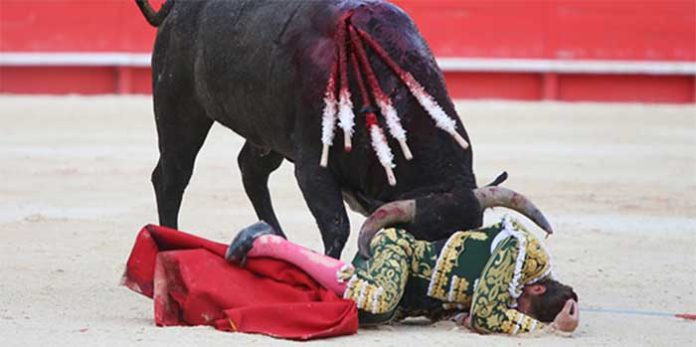 Escribano sufrió una peligrosa voltereta hoy en Nimes con los toros de Victorino Martín. (FOTO: Emilio Méndez)