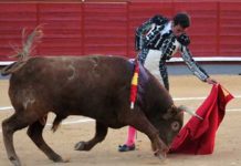 El diestro sevillano Juan Ortega.