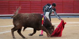 El diestro sevillano Juan Ortega.