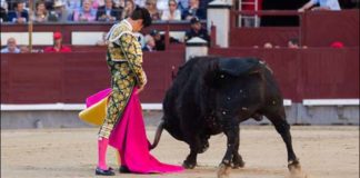 El sevillano Daniel Luque, hoy en Madrid. (FOTO: las-ventas.com)