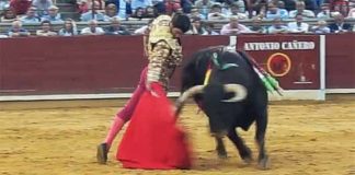 Morante, toreando esta tarde en Córdoba.