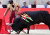 Morante, toreando hoy en Nimes. (FOTO: Terres Taurines)