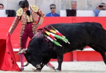 Morante, toreando hoy en Nimes. (FOTO: Terres Taurines)