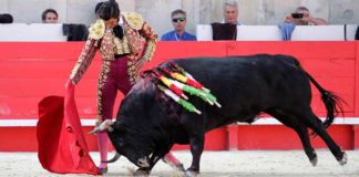 Morante, toreando hoy en Nimes. (FOTO: Terres Taurines)