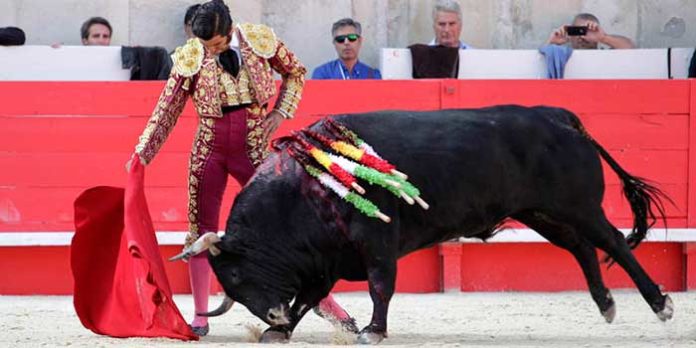 Morante, toreando hoy en Nimes. (FOTO: Terres Taurines)