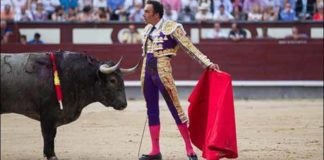 Desplante de El Cid ante un toro de Victorino Martín hoy en Madrid. (FOTO: las-ventas.com)