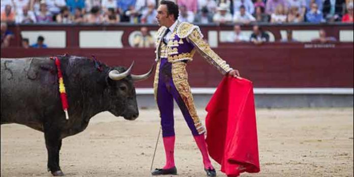 Desplante de El Cid ante un toro de Victorino Martín hoy en Madrid. (FOTO: las-ventas.com)