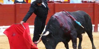 Un muletazo de Morante hoy en Alicante. (FOTO: Vigueras/mundotoro.com))