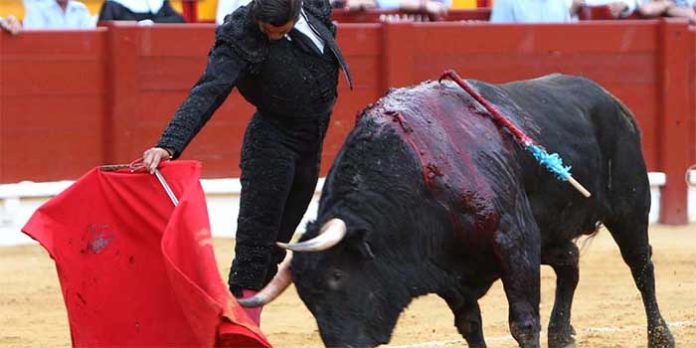 Un muletazo de Morante hoy en Alicante. (FOTO: Vigueras/mundotoro.com))