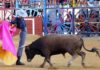 Un novillero toreando en la singular plaza de La Algaba.