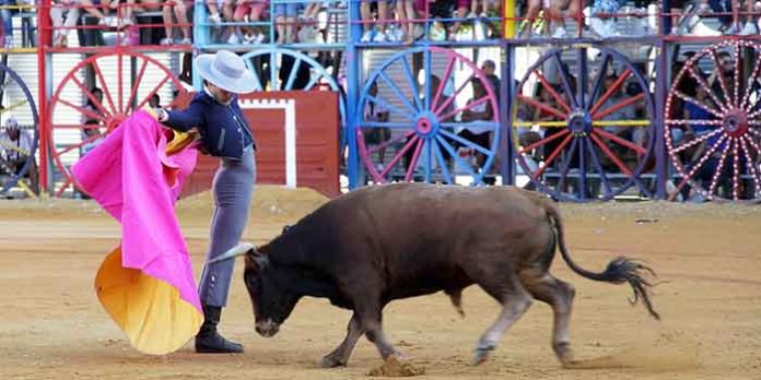 Un novillero toreando en la singular plaza de La Algaba.