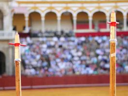 Varas preparadas en la Maestranza para la suerte de picar.