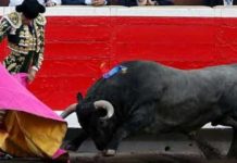 Manuel Escribano, hoy domingo en Bilbao con la corrida de Victorino Martín.
