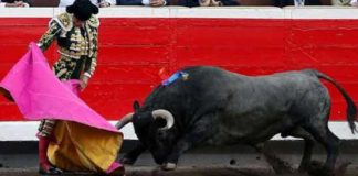 Manuel Escribano, hoy domingo en Bilbao con la corrida de Victorino Martín.