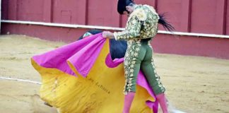 Morante torea a la verónica al cuarto en Málaga.