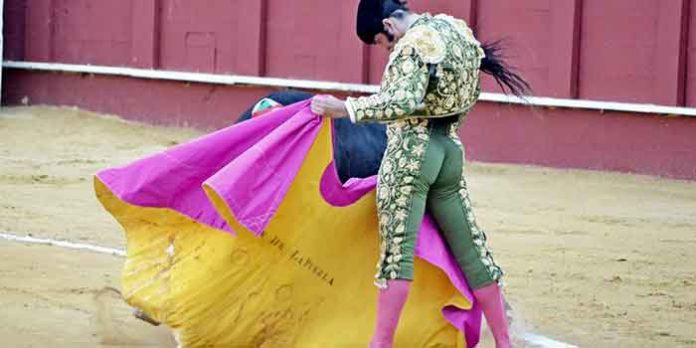 Morante torea a la verónica al cuarto en Málaga.