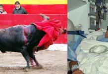 Cornada sufrida por Pablo Aguado hoy en Cadalso de los Vidrios y traslado del novillero sevillano al Hospital de Móstoles tras ser operado en la enfermería. (FOTO: Ángel Bravo/El rincón taurino)