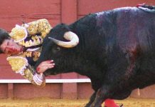 esau-fernandez-cogida