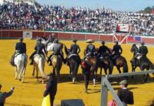 Paseíllo en el festival benéfico de La Puebla del Río en 2013.