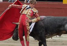 Pase cambiado por la espalda de Escribano hoy en Lima (Perú) a un toro de Miura. (FOTO: paseillo.pe)