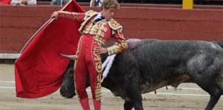 Pase cambiado por la espalda de Escribano hoy en Lima (Perú) a un toro de Miura. (FOTO: paseillo.pe)