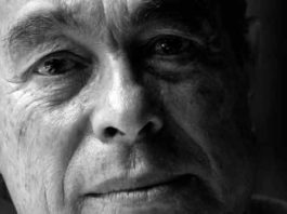 La mirada de Curro Romero. (FOTO: Cuadernos de Tauromaquia)