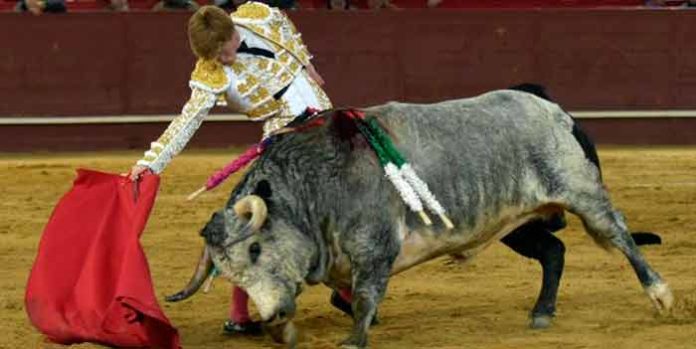 Derechazo de Borja Jiménez en el toro al que le ha cortado la oreja hoy en Valdemorillo. (FOTO: Julián López / mundotoro.com)