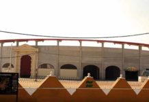 La amplia y cómoda plaza de toros sevillana de Morón.