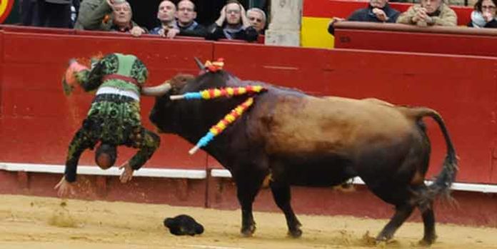 La cornada de Santi Acevedo en Valenia. (FOTO: Alberto de Jesús/Mundotoro)