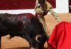 El sevillano Alfonso Cadaval toreando hoy en Olivenza. (FOTO: Gallardo/Badajoz Taurina)