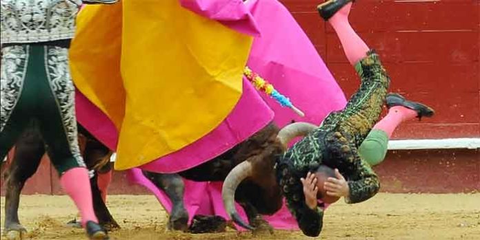 Instante de la cornada sufrida por Acevedo hoy en Valencia. (FOTO: Alberto de Jesús/Mundotoro)