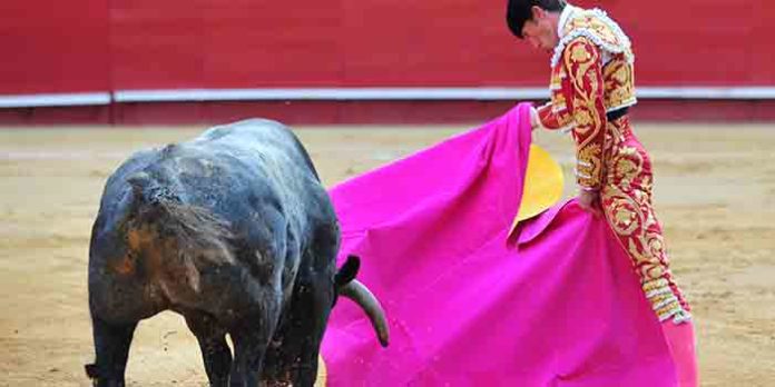 Manuel Escribano, esta tarde en Valencia.