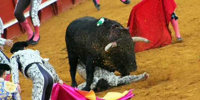 El Lili, tras ser corneado en Sevilla el pasado domingo. (FOTO: Javier Martínez)