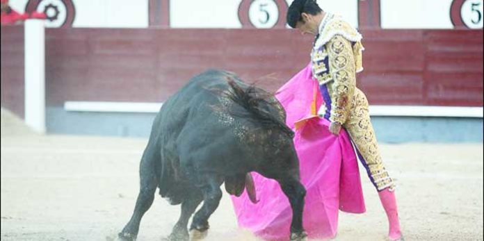 El Cid, esta tatde en Madrid. (FOTO: las-ventas.com)