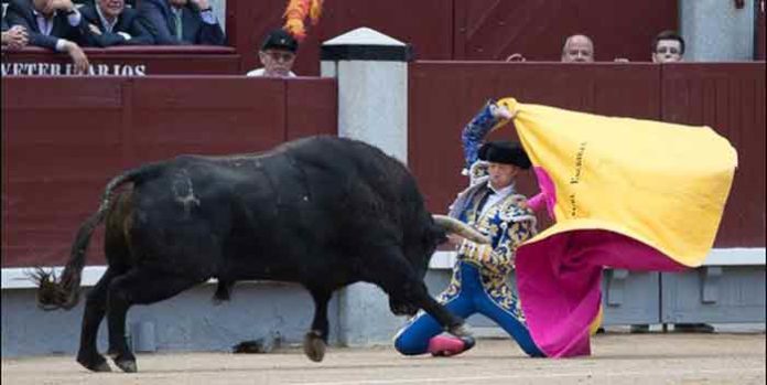 El sevillano Manuel Escribano, esta tarde en Madrid, fiel a su personalidad. (FOTO: las-ventas.com)