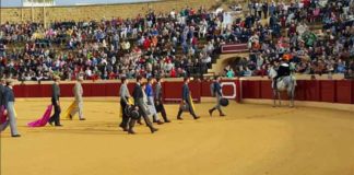 El paseíllo de la becerrada que ha abierto hoy viernes la Feria de Osuna.