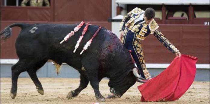 Daniel Luque, hoy en Madrid. (FOTO: las-ventas.com)