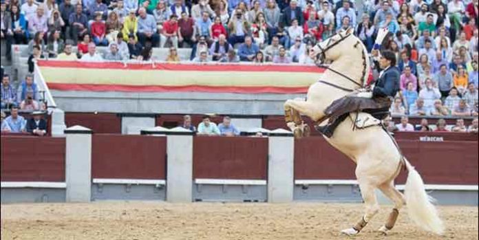 Diego Ventura, en un adorno hoy en Madrid. (FOTO: las-ventas.com)