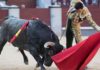 Un natural de El Cid hoy en Madrid. (FOTO: las-ventas.com)