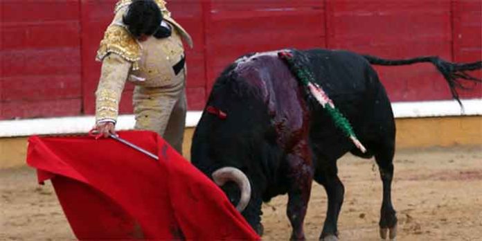 Morante, toreando esta tarde en Badajoz. (FOTO: Gallardo/badajoztaurina.com)